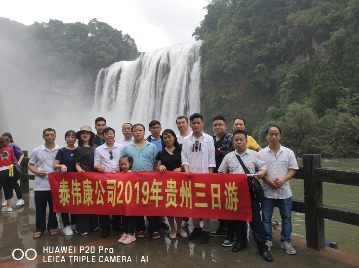 广东泰伟康电气技术有限公司图4