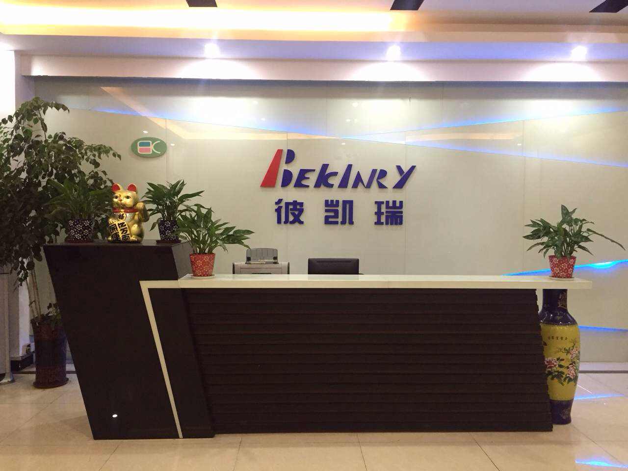 东莞市彼凯瑞半导体科技有限公司图1