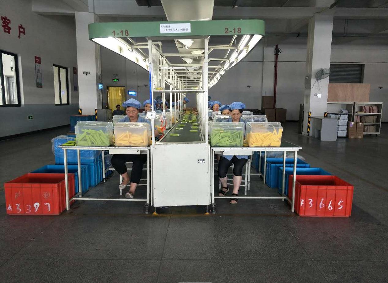 浙江冯泰科技股份有限公司图3