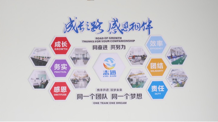 东莞市志迅塑胶电子有限公司图1