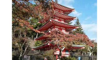 东莞市亚迪电子材料有限公司图6