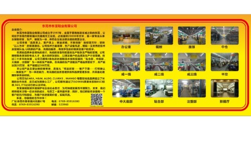东莞市东圣鞋业有限公司图1