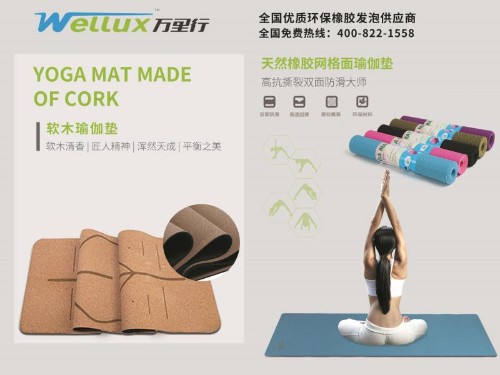 东莞市万里行橡胶有限公司图4