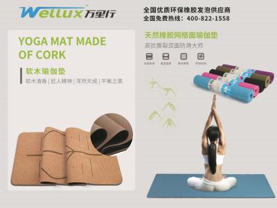 东莞市万里行橡胶有限公司图4