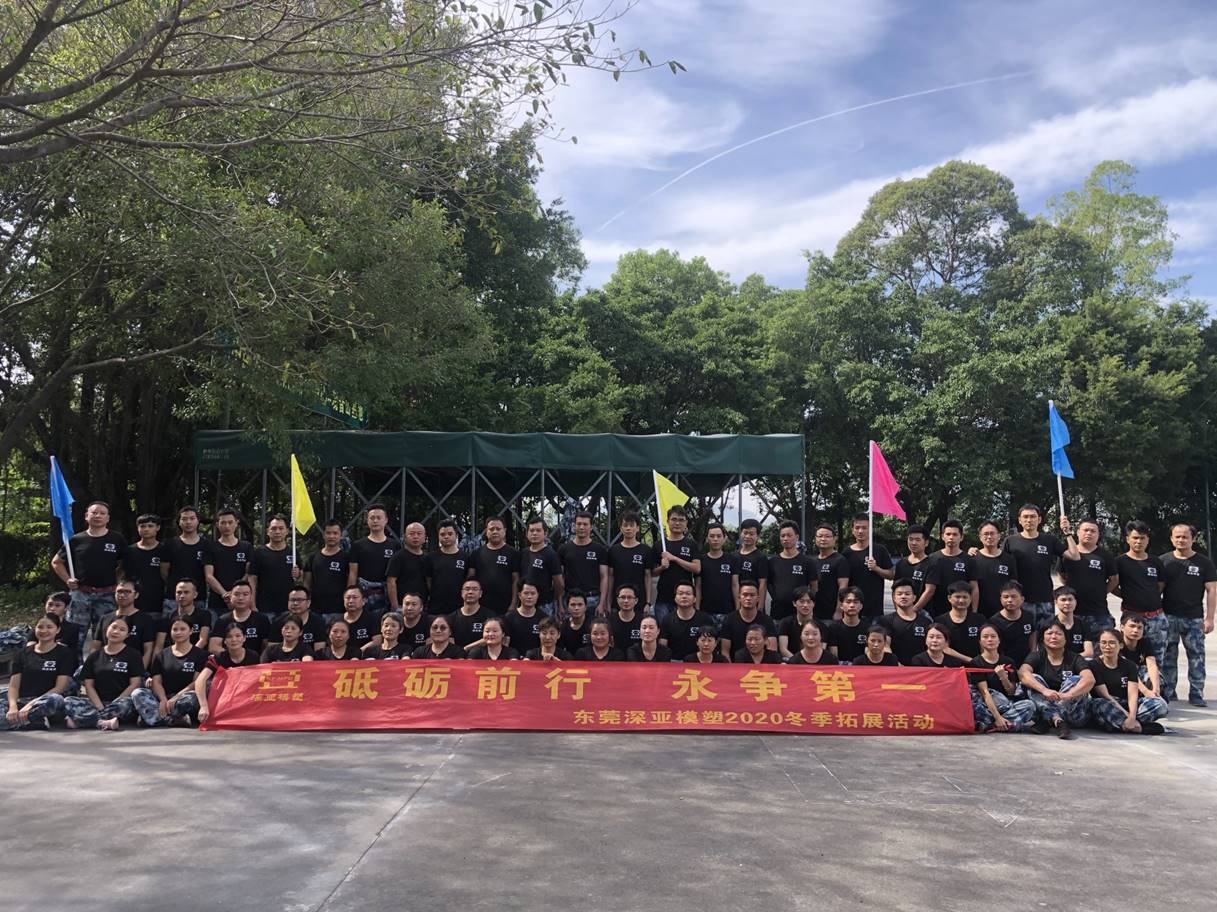 东莞深亚模塑有限公司图2