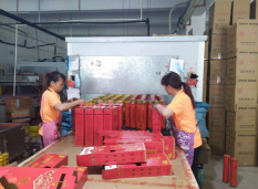 东莞市万江安漮酥油灯厂图3