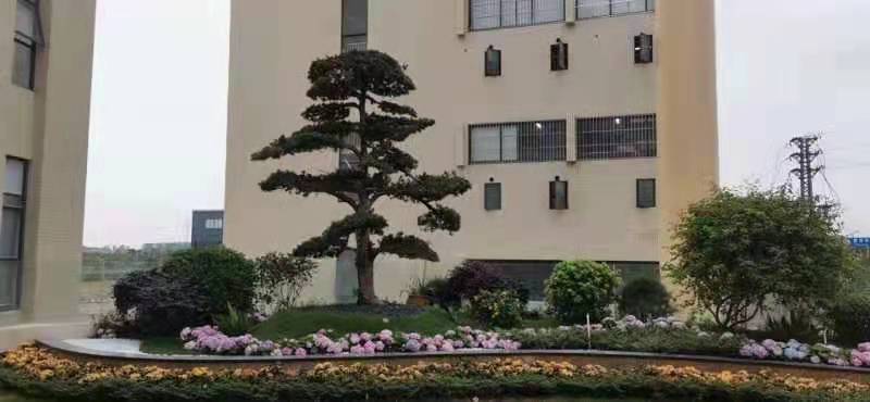 东莞市圣鼎源科技有限公司图4