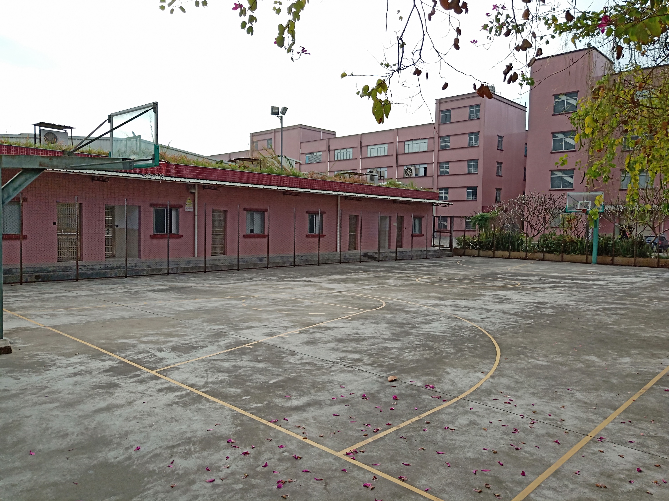 东莞耀晖纸制品有限公司图5