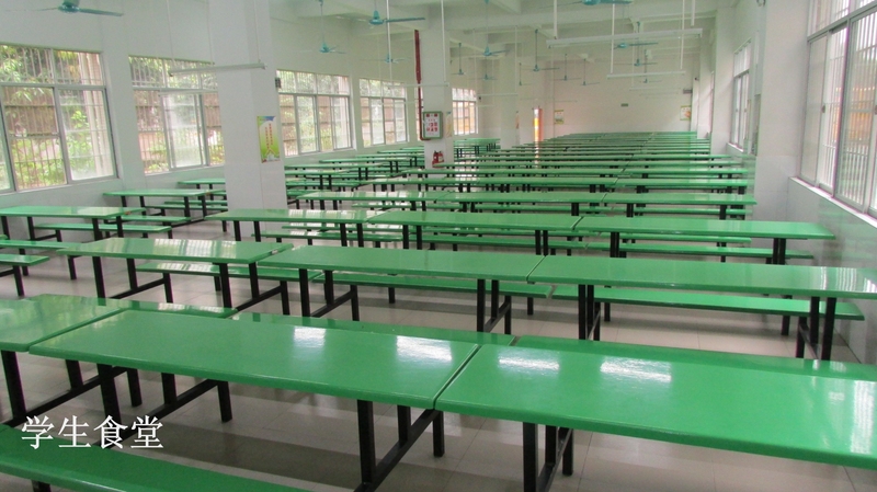 东莞市寮步龙光外国语学校图4