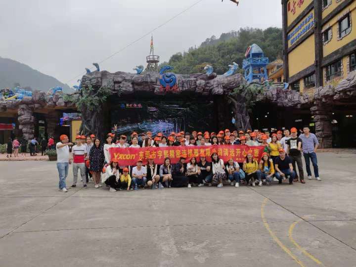 东莞市宇熙精密连接器有限公司图1