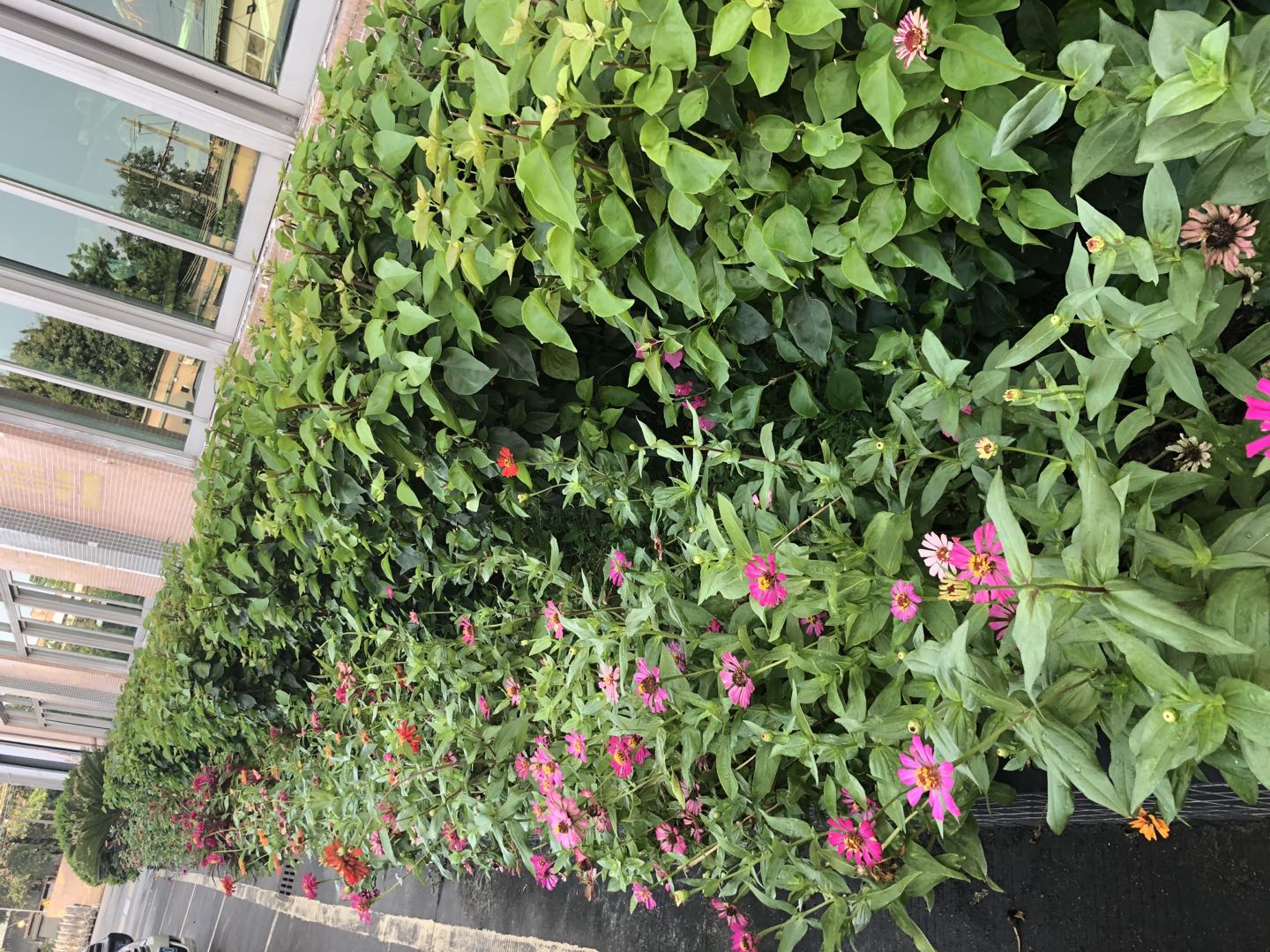 东莞联荣皮艺有限公司图4