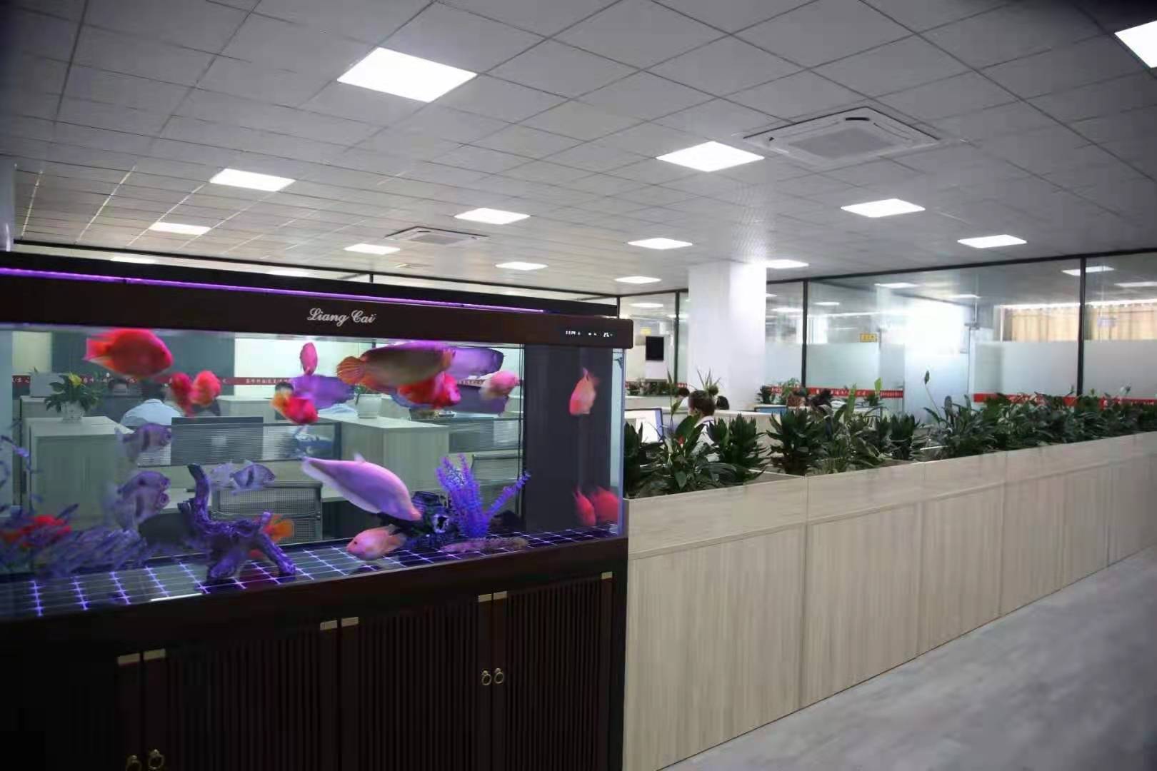 惠州市巅峰智能装备有限公司图4