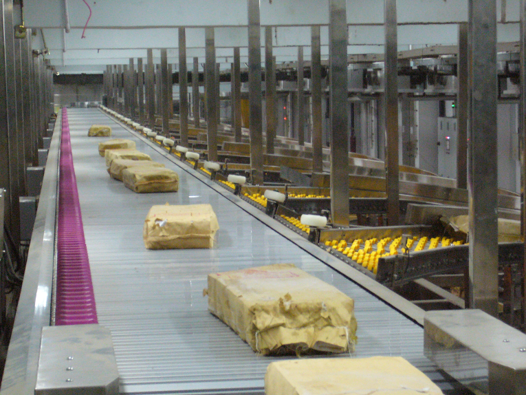 天和双力（东莞）智能物流装备有限公司图6