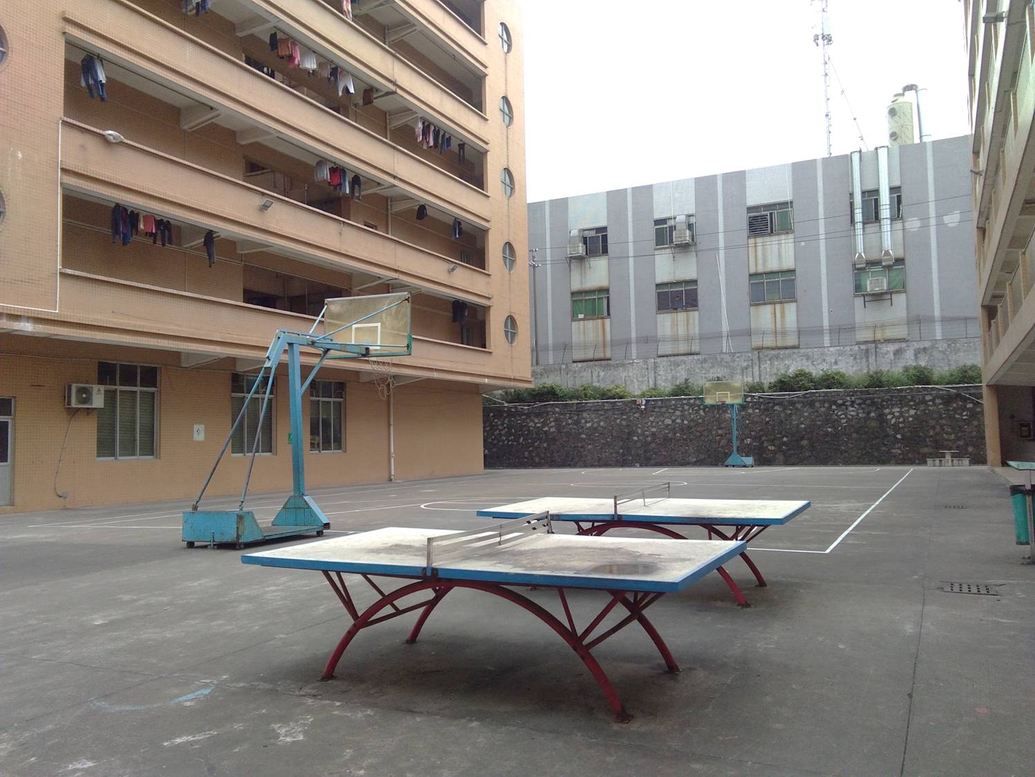 东莞利法宝玩具制品有限公司图3