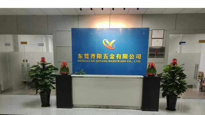 东莞齐阳五金有限公司图1