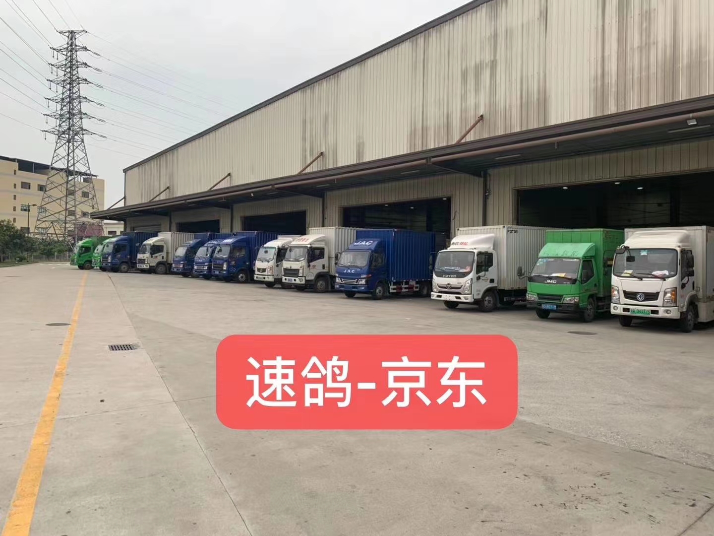 广东速鸽出行服务有限公司图4