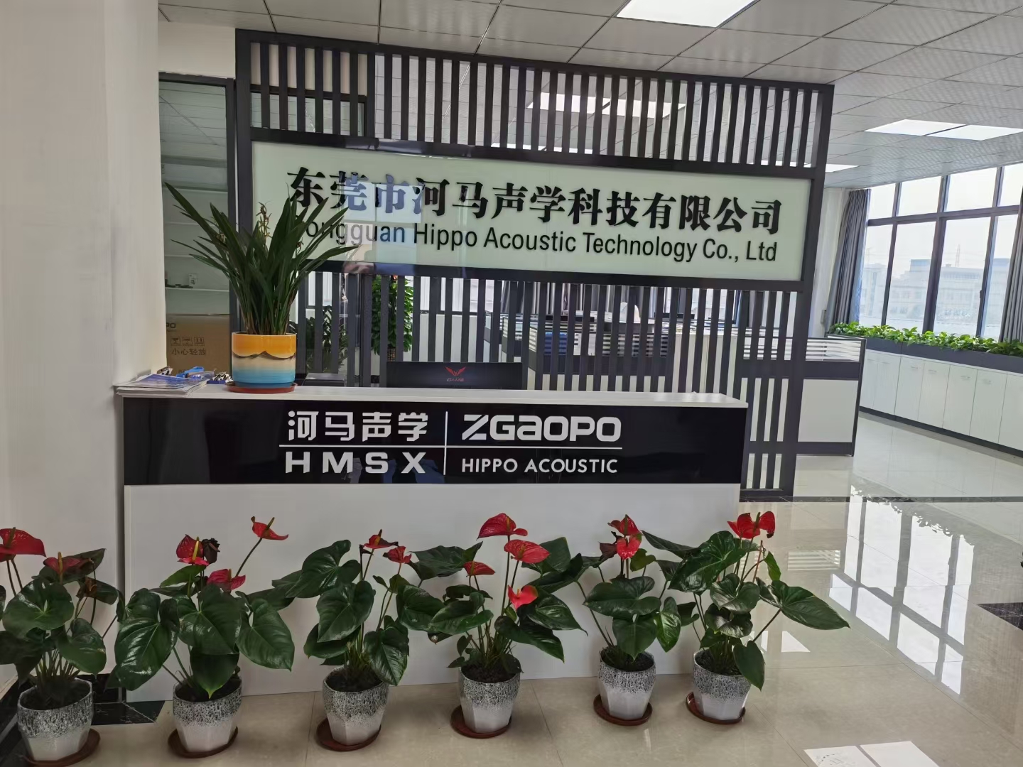 东莞市河马声学科技有限公司图3