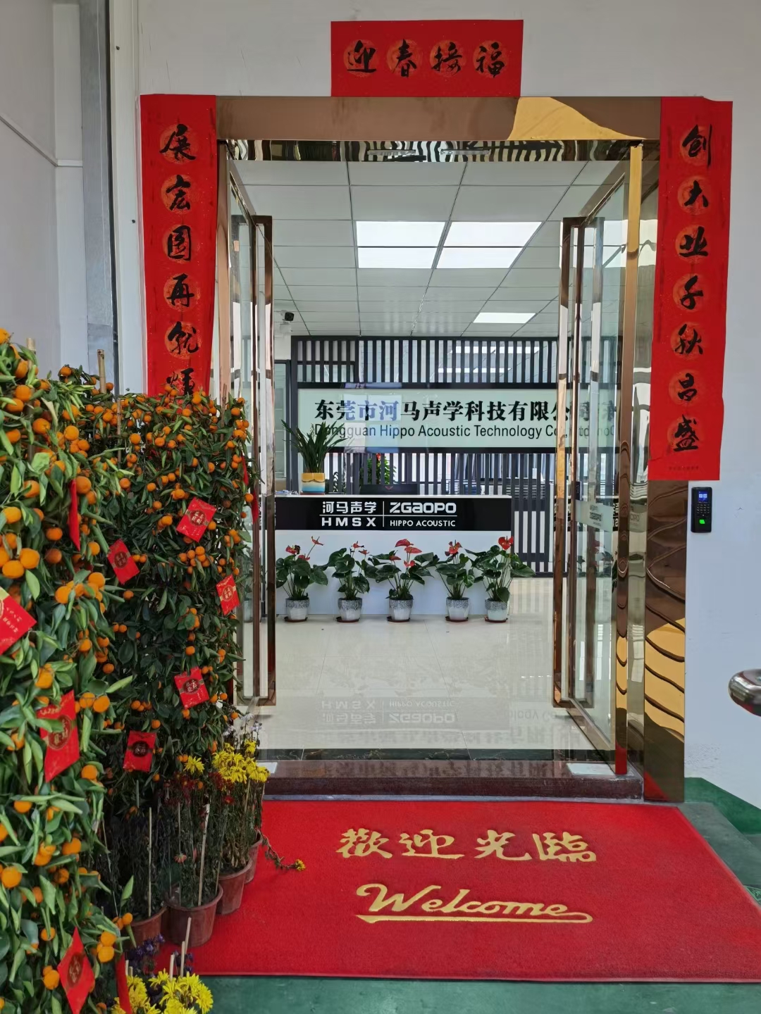 东莞市河马声学科技有限公司图2