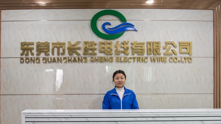 东莞市长胜电线有限公司图2