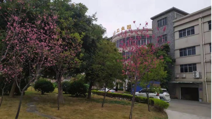 东莞市泽上塑胶电子有限公司图5