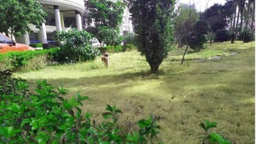 东莞市泽上塑胶电子有限公司图2