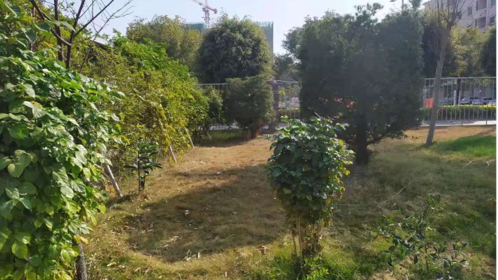 东莞市泽上塑胶电子有限公司图4