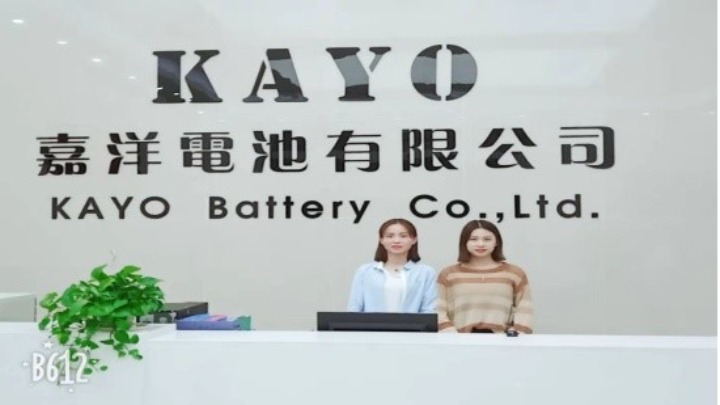 东莞市嘉洋电池有限公司图1