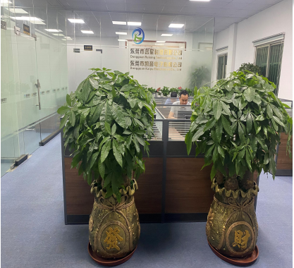 东莞市睿星科技有限公司图1