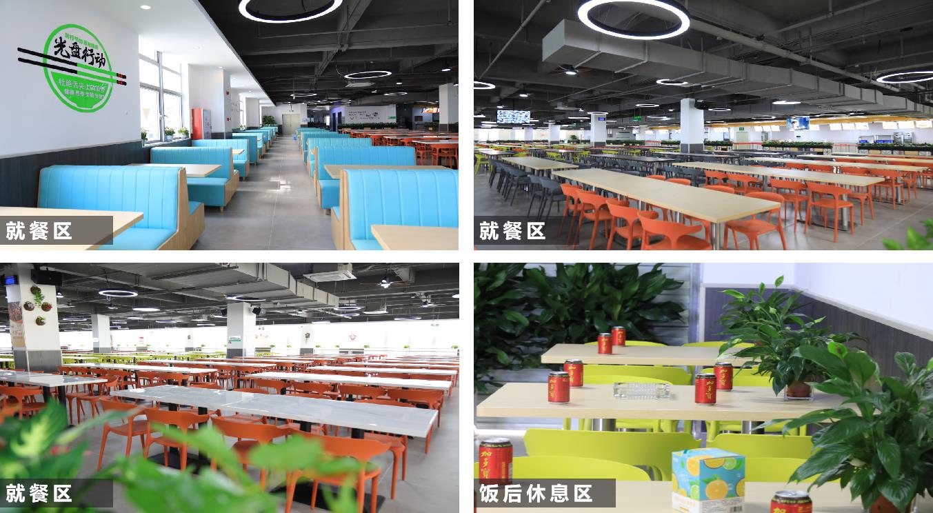 广东鹏龙光电股份有限公司图9