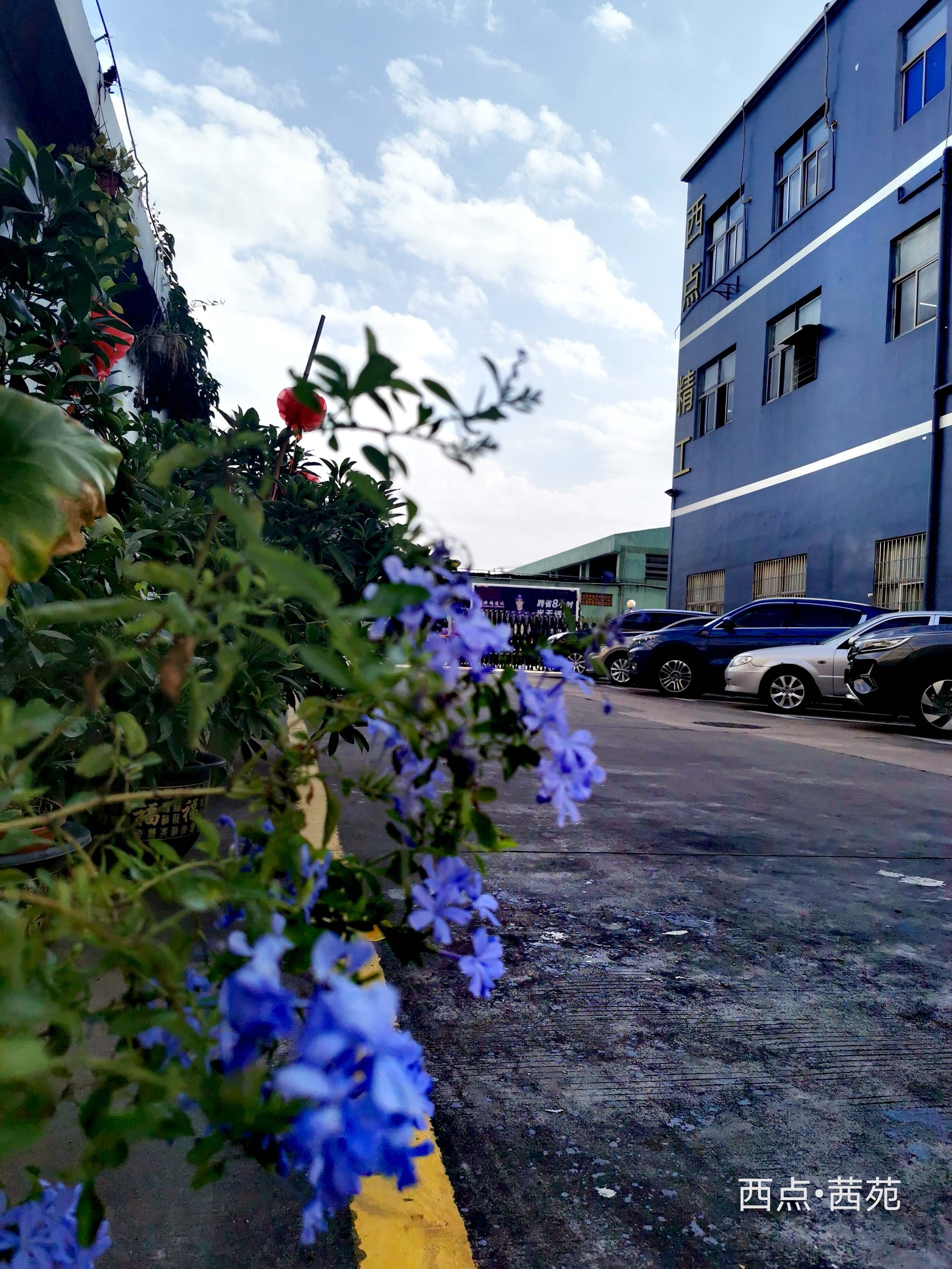 深圳市西点精工技术有限公司图3