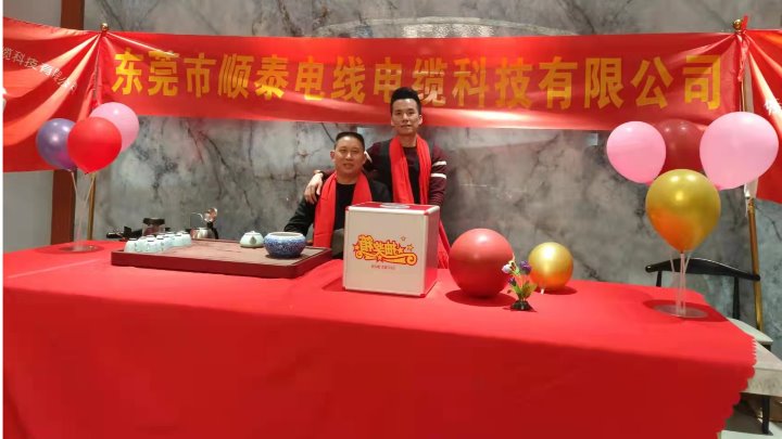 东莞市顺泰电线电缆科技有限公司图3