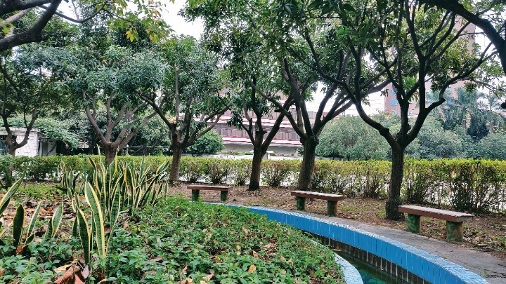 东莞华龙电子有限公司图3