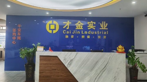 东莞市才金实业投资有限公司图1