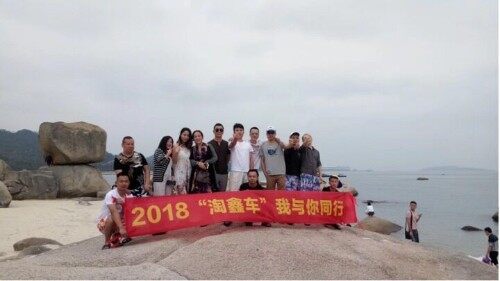 广东淘鑫车汽车实业投资有限公司图2