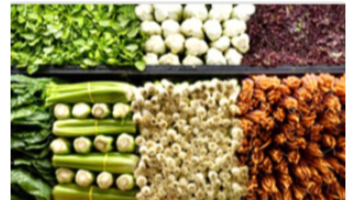 东莞市壹心膳食管理服务有限公司图2