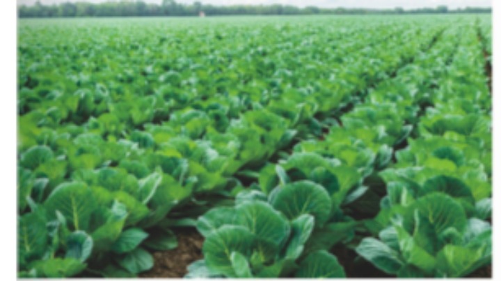 东莞市壹心膳食管理服务有限公司图3