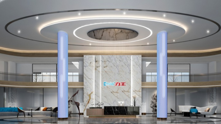 广东力王新能源股份有限公司图2