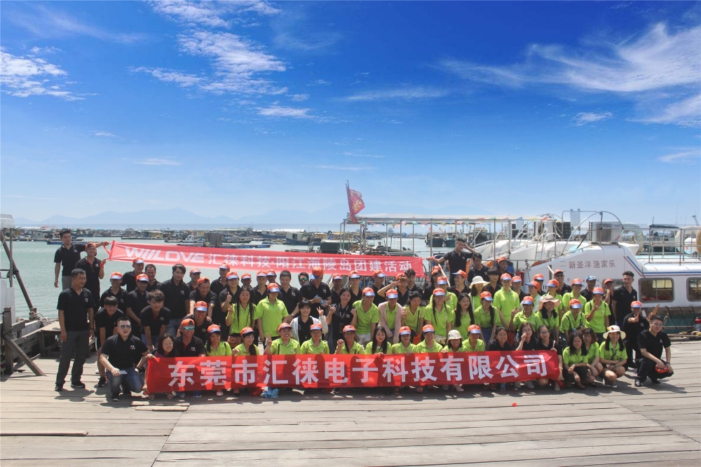 东莞市涟华电子科技有限公司图2