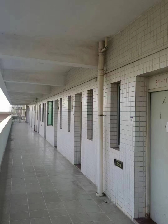 广东爱人科技有限公司(HR)图4