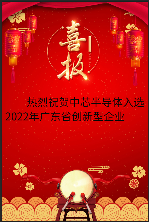 东莞市中芯半导体有限公司图4