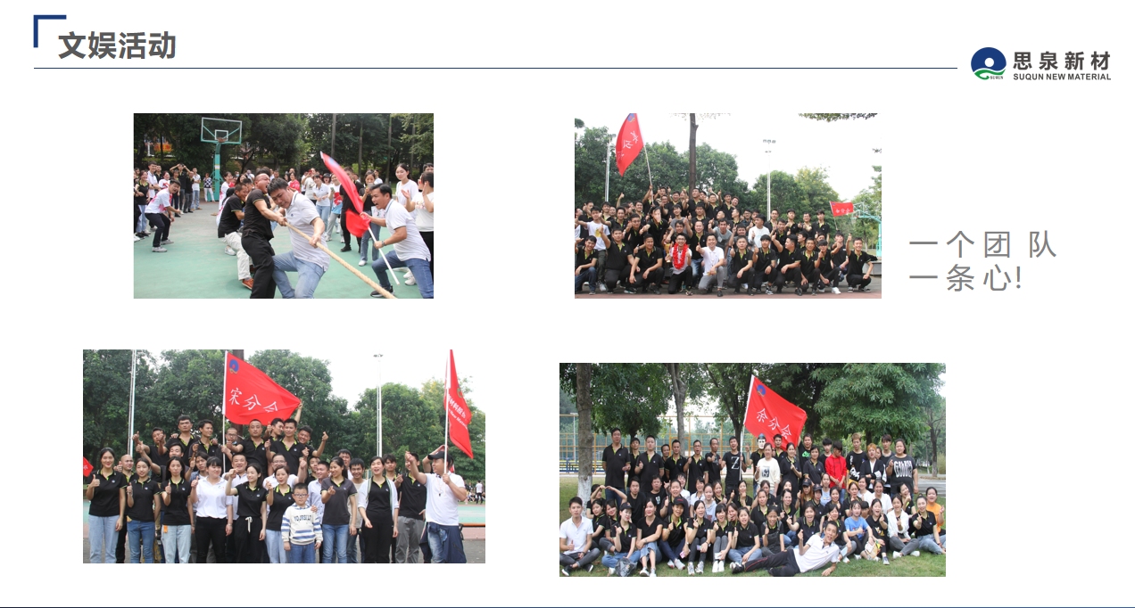 广东思泉新材料股份有限公司图8