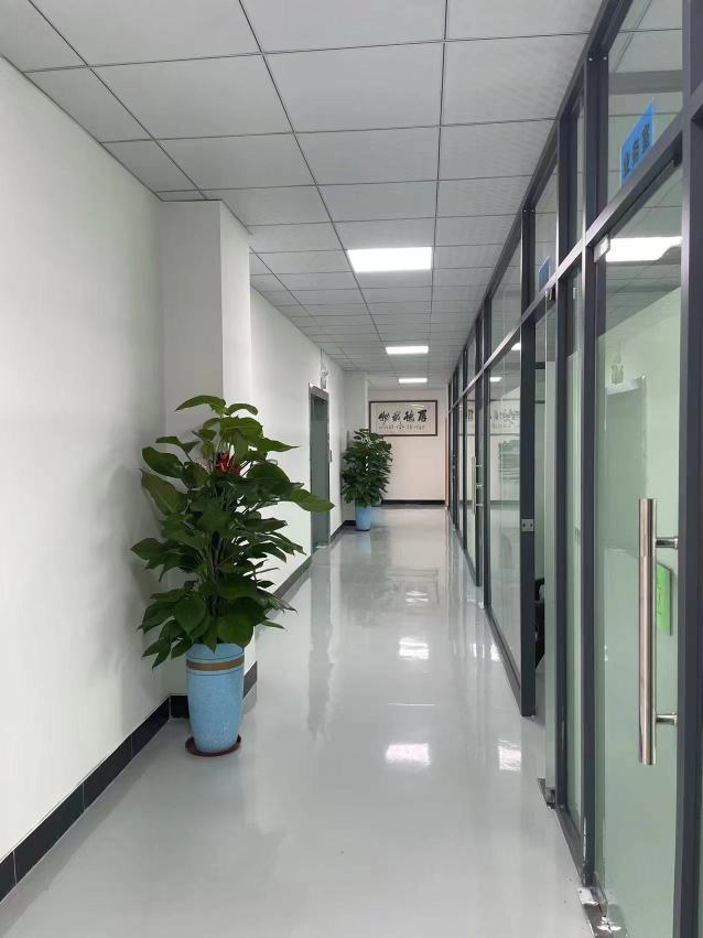 国芯微电子（东莞）有限公司图2