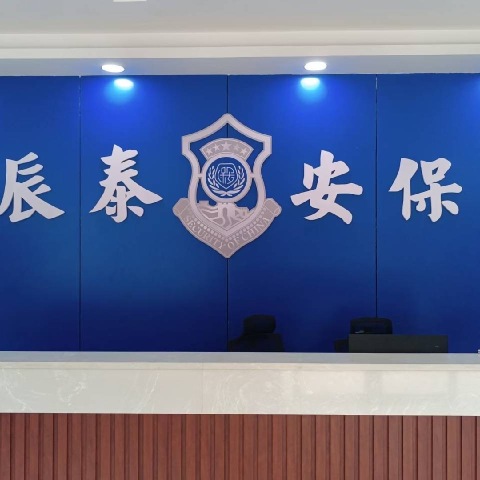 广东辰泰保安服务有限公司图2