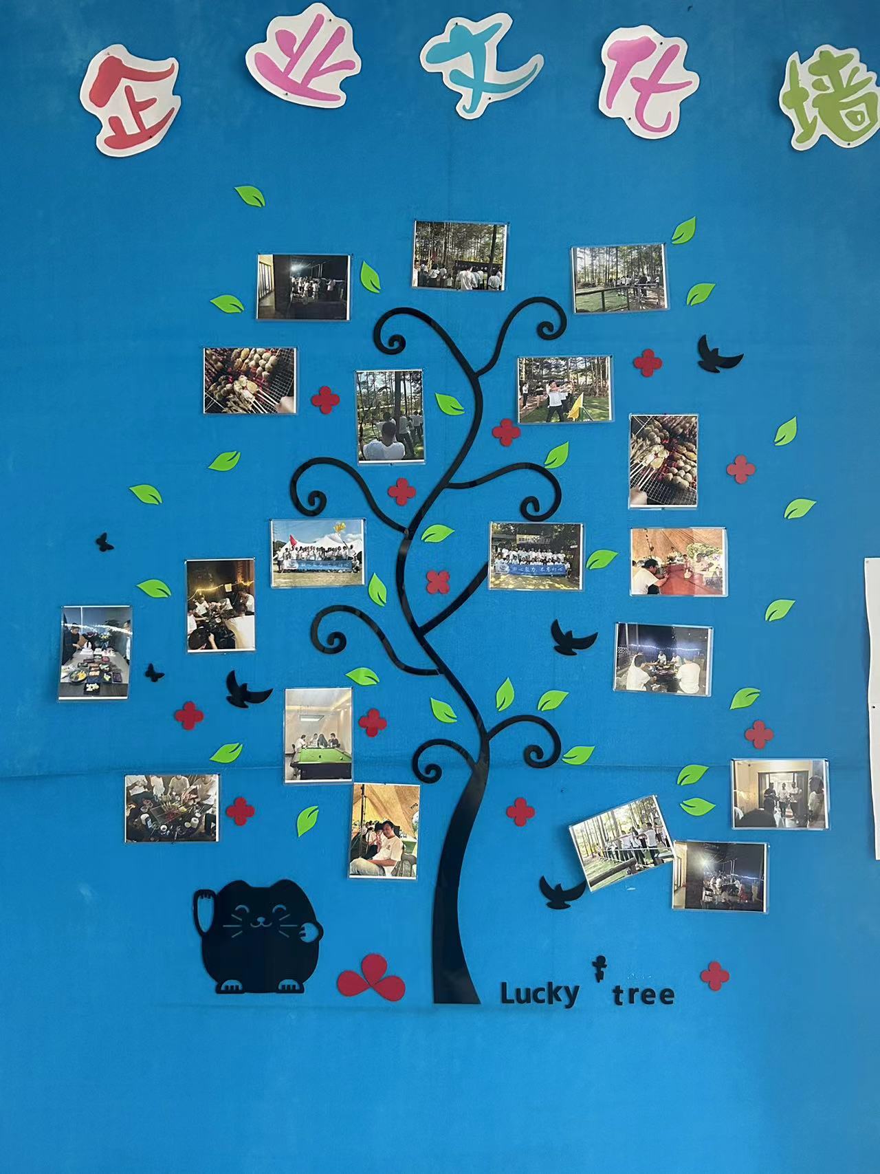 东莞市索岛机电科技有限公司图5