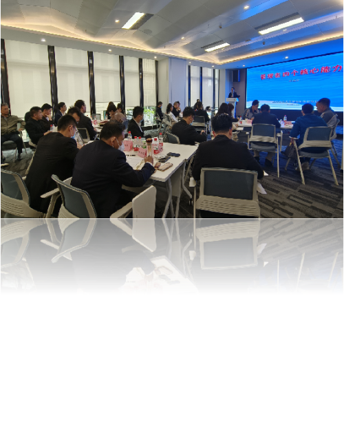 深圳盛世愿景管理服务有限公司图3