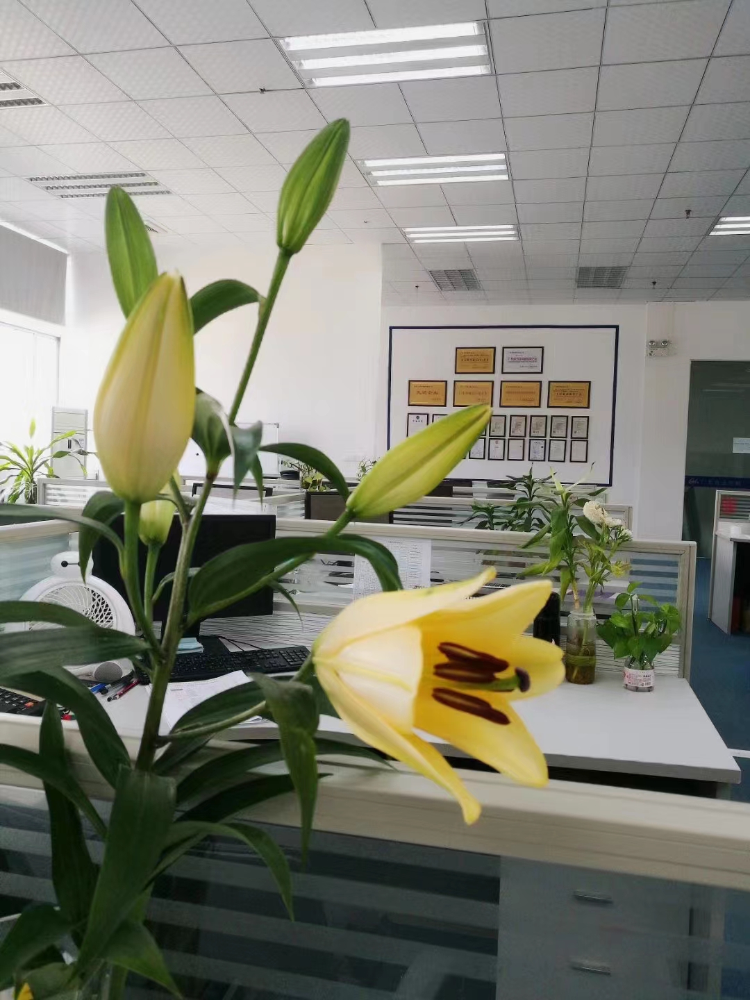 广东商友照明有限公司图4