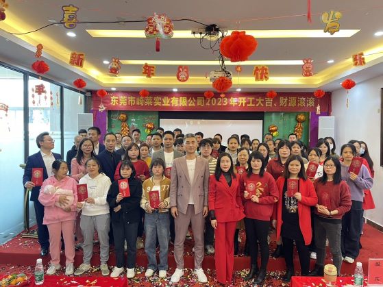 东莞市崎莱实业有限公司图5