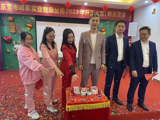 东莞市崎莱实业有限公司图6