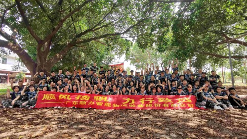 广东顺力智能物流装备股份有限公司图7