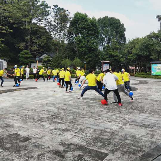 东莞市赛越新材料科技有限公司图8